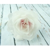 Róża chińska duża cieniowana różowa 12,5 cm