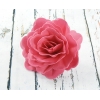 Róża chińska duża cieniowana fuksja 12,5 cm