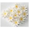 Kwiaty cukrowe tort kwiatki stokrotka biały 10 szt