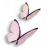 Kwiaty motyle 3D waflowe dekoracja pastel ombre 30x