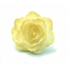 Róża chińska waflowa średnia złota 18 sztuk