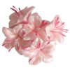 KWIATY NA TORT dekoracje cukrowe URODZINY ozdoby BROKATOWE różowy 5szt