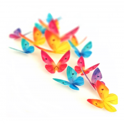 Motyle waflowe 3D do dekoracji tortu mix koloru 10 sztuk