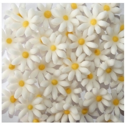 Kwiaty cukrowe tort kwiatki stokrotka biały 10 szt