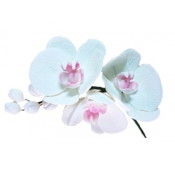 Kwiat cukrowy orchidea biała gałązka do dekoracji tortu 1 szt.