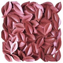 Liście na tort 100 sztuk listki waflowe perłowy burgund dekoracje komunijne urodziny wesele