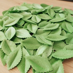 Liście na tort 100 sztuk listki waflowe zielone dekoracje komunijne urodziny wesele