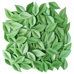 Liście na tort 100 sztuk listki waflowe zielone dekoracje komunijne urodziny wesele