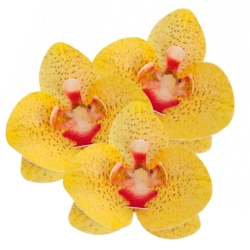 Kwiaty na tort storczyk waflowy orchidea dekoracje urodziny ozdoby na tort 3 sztuki