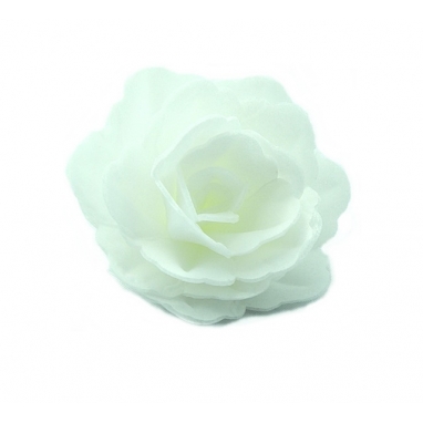 Róża chińska średnia biała 1 sztuka