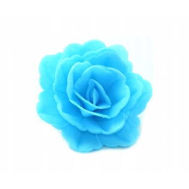 Róża chińska średnia niebieski 1 sztuka