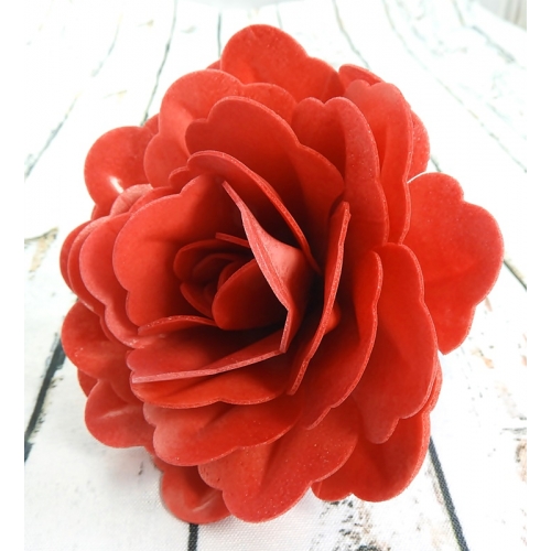 Róża chińska duża czerwona 12,5 cm