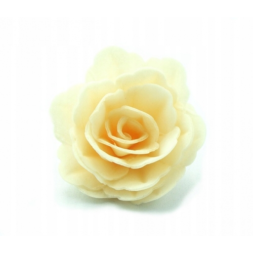 Róża chińska waflowa średnia ecru 18 sztuk
