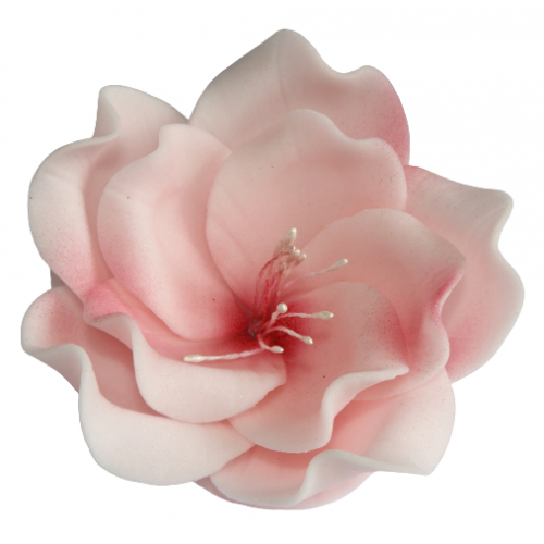 Kwiat cukrowy eustoma dekoracja tort różowy 1x