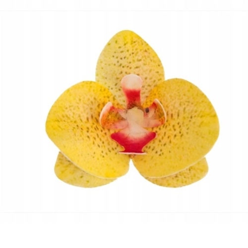 Kwiaty na tort storczyk waflowy orchidea dekoracje urodziny ozdoby na tort 3 sztuki